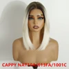NAT10A/613FA/1001C