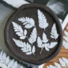 MH687 Deersfoot Fern 4-6cm white 50pcs
