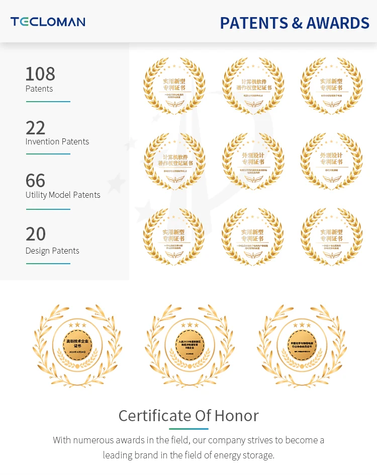 Tecloman 1000w Electricity Storage Offgrid Solution Lifepo4 Battery