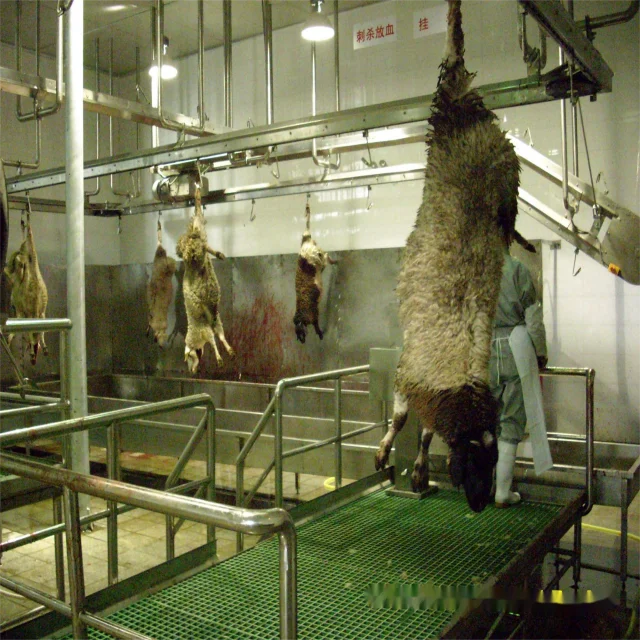 Modern Automatic Goat Slaughter Equipment for Sheep and Lamb Processing ...
