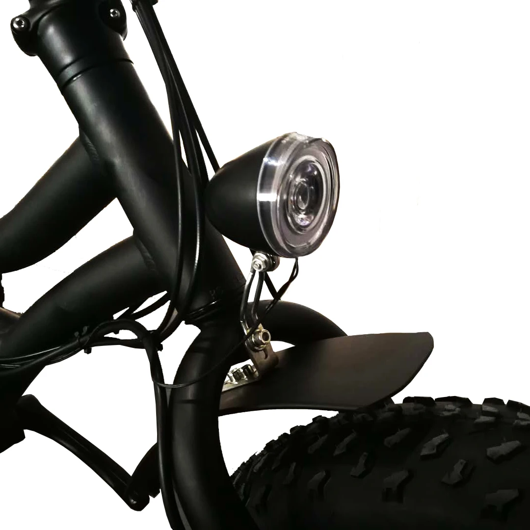 Food Cart Delivery 48v 1000w Electric Bike Kit With Battery Electric