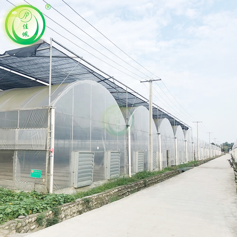 Фабричная оцинкованная стальная труба, пластиковая теплица