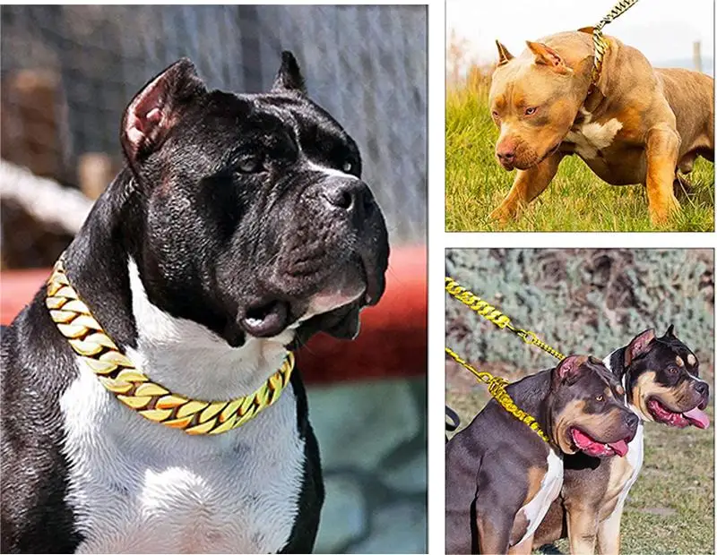 Luxury Gold Collares De Perros Pet Big Hip Hop Leads Chains Kit Dog ...