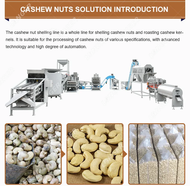 kaju-100 High Productivity Cashew Nut Processing Line - 500-5000 Kg/hour