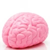 Juguete de relajación cerebral