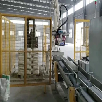 Chinese CE Certification High Speed Palletizing Machine for Carton Palletizer with 4 Axis