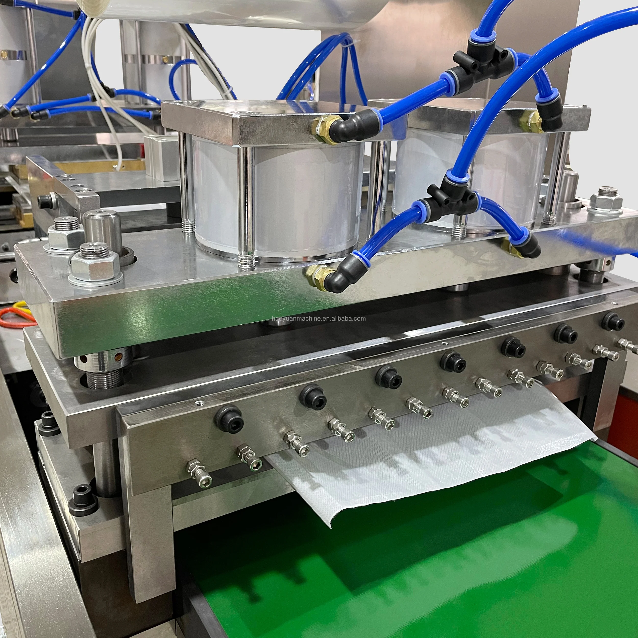 Full Automatic Biological Ice Pack Making Packing Machine Ice Bag Multi Function Packaging Machine HY-330B Haoyuan supplier