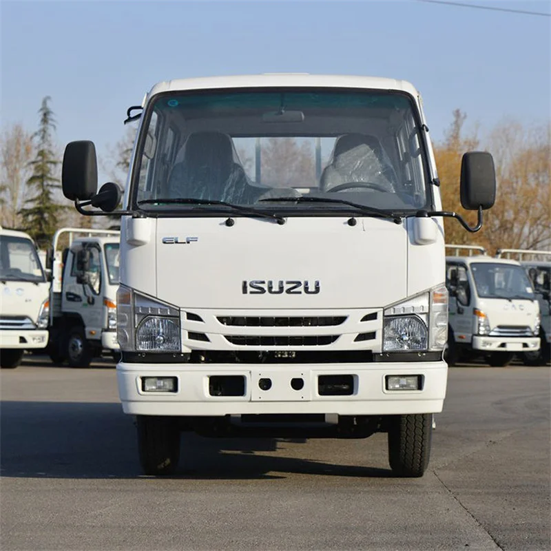 China Factory Isuzu 100P 4x2 Double Cabin Light Lorry 2-4Ton Small Cargo Truck Dump Isuzu Truck with Cabin Isuzu 100P Truck
