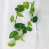 Green 6
