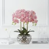 Corail