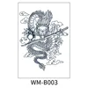 WM-B003