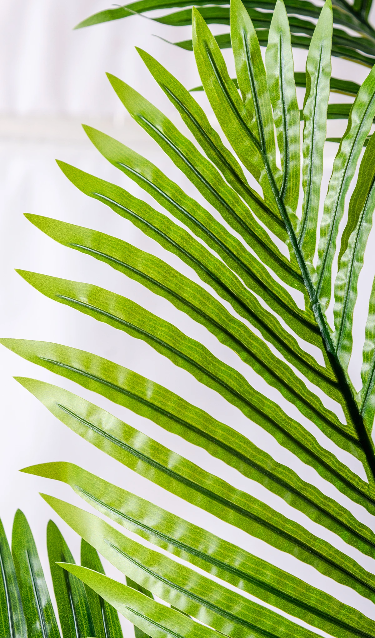 Manufacturer Direct Sales 8 Feet Giant UV-Resistant Artificial Plastic Palm Tree Home/Outdoor Landscaping Greening Plant details