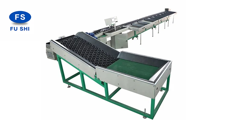 Mango Fruit Weight Classifier Sorting Machines