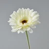 Bianco autunnale