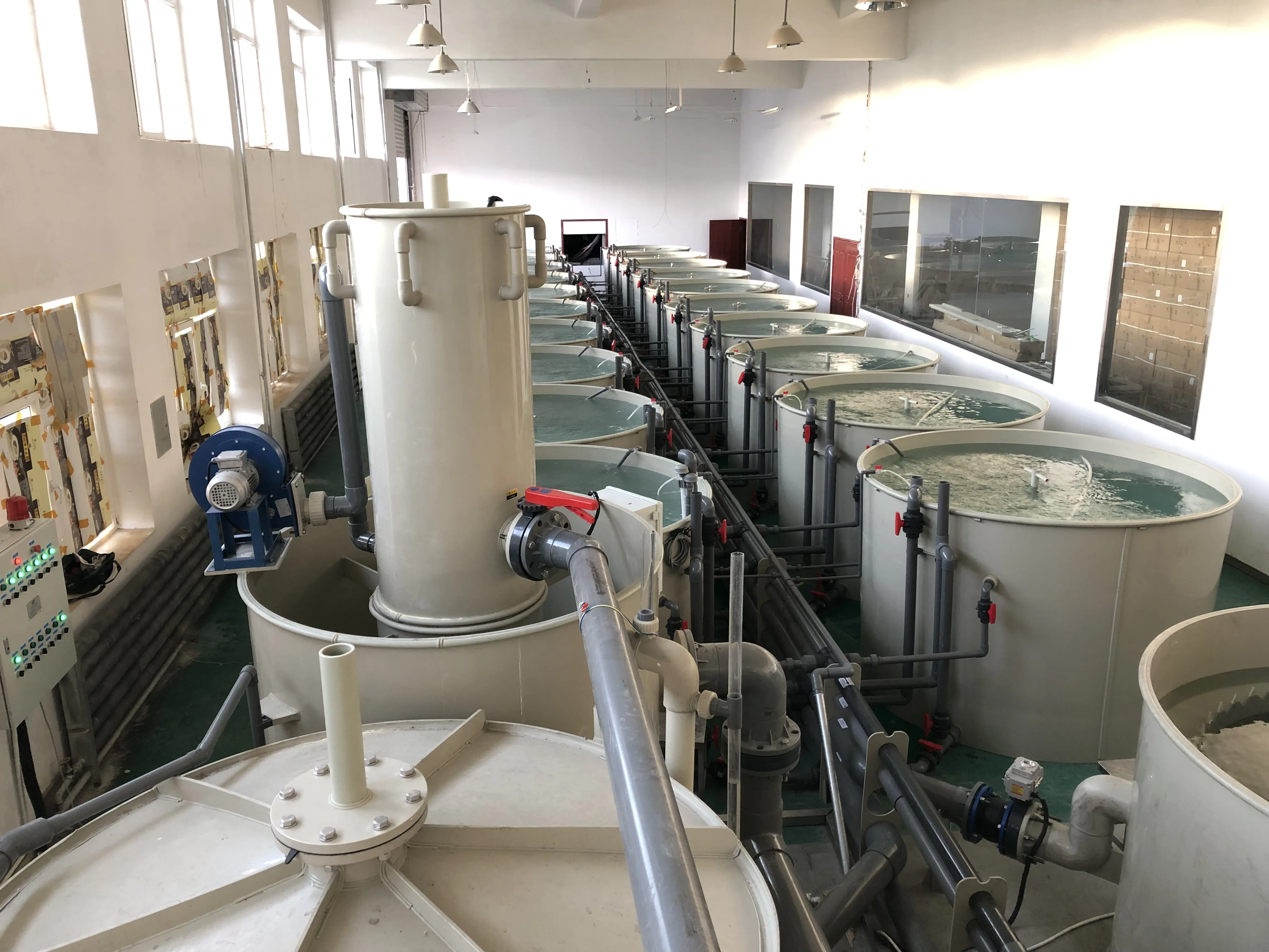 Large Scale Commercial Tilapia Fish Farming Big Ras Equipment for ...