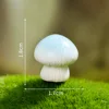 5-dream mushroom