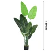 Travelers palm model O-180cm-65cm-factory supplied black plastic