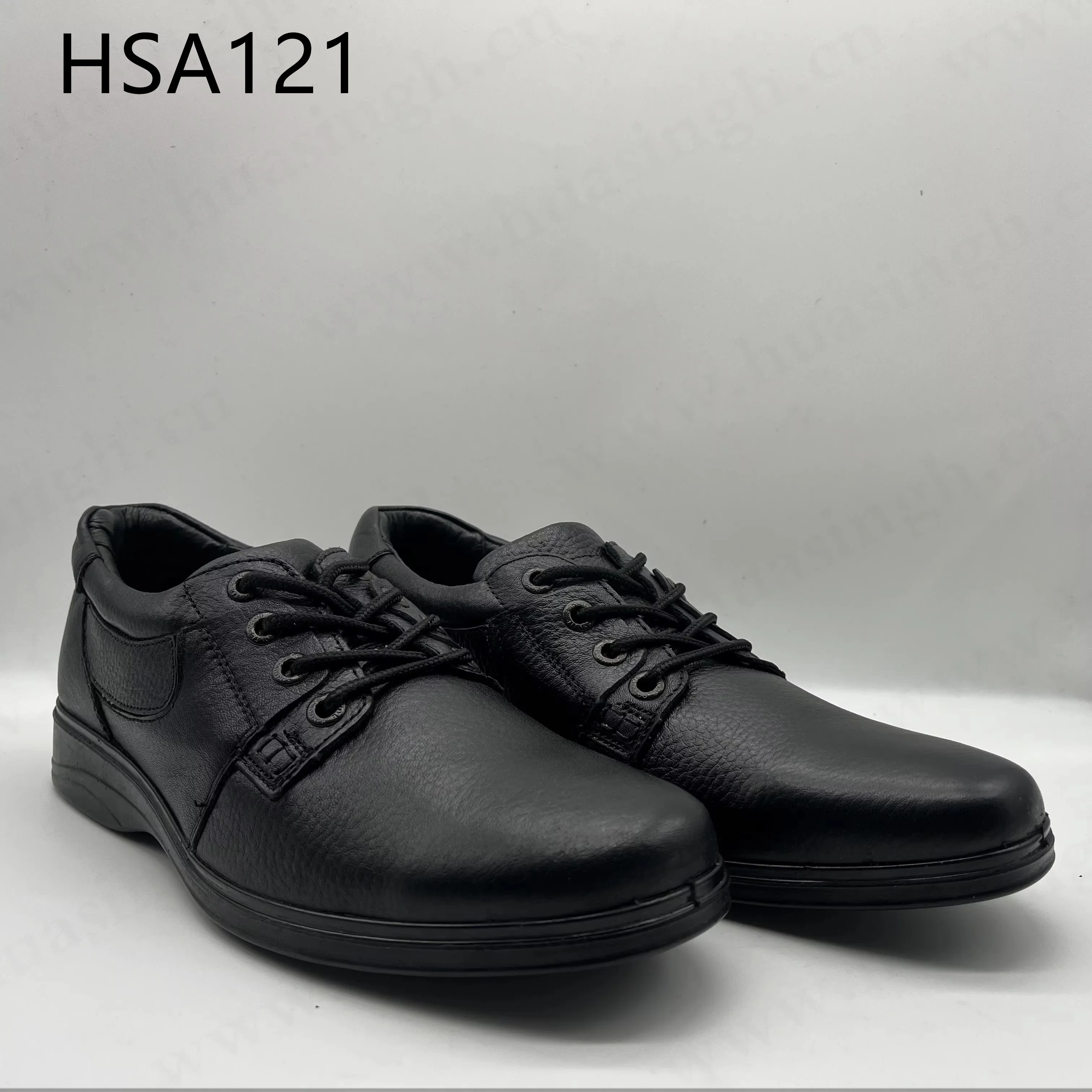 HSA121 (2).jpg