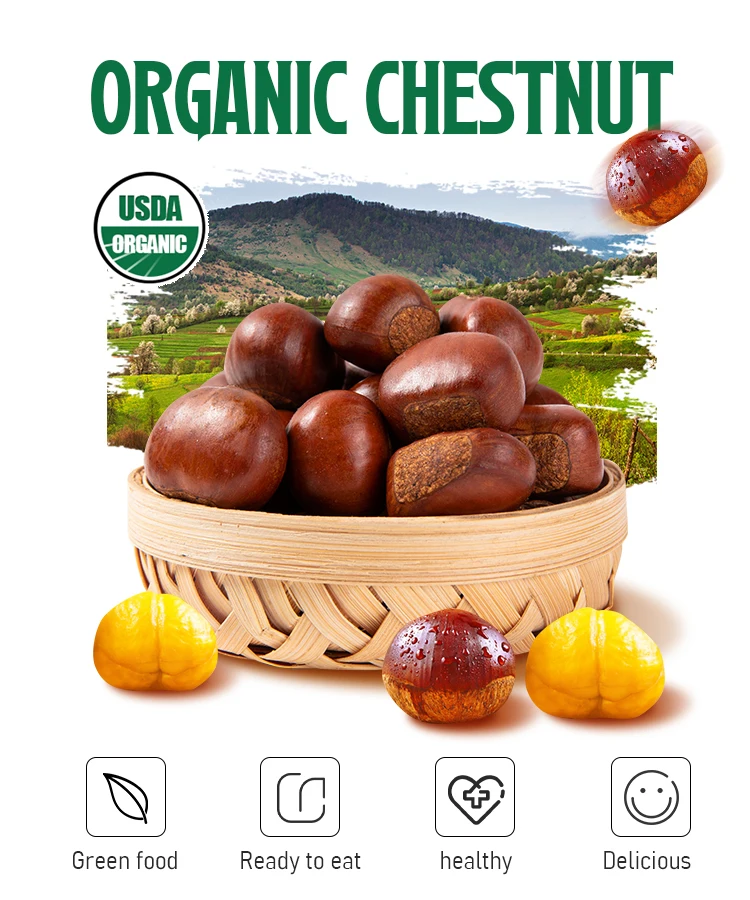 New Crop Gluten Free Peeling Fresh Chestnuts Edible Chestnuts Raw Fresh