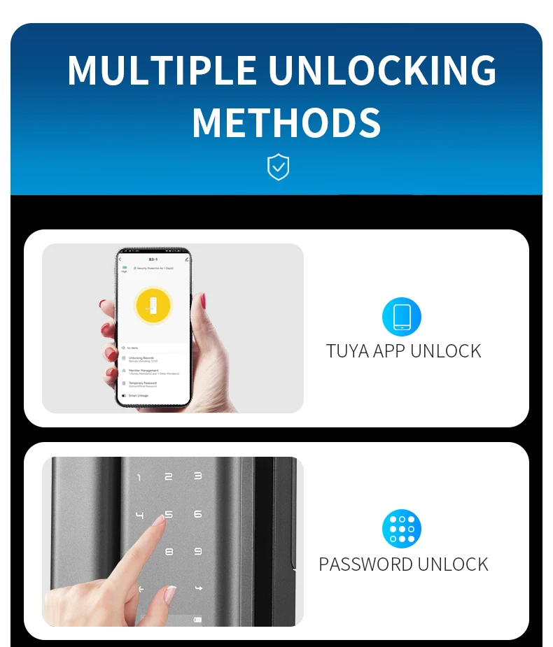 Factory Price Access Wifi Tuya Lock Electronic Door Locks for Homes Password App Unlocking Electronic Smart Door Lock
