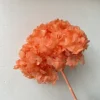 Arancione