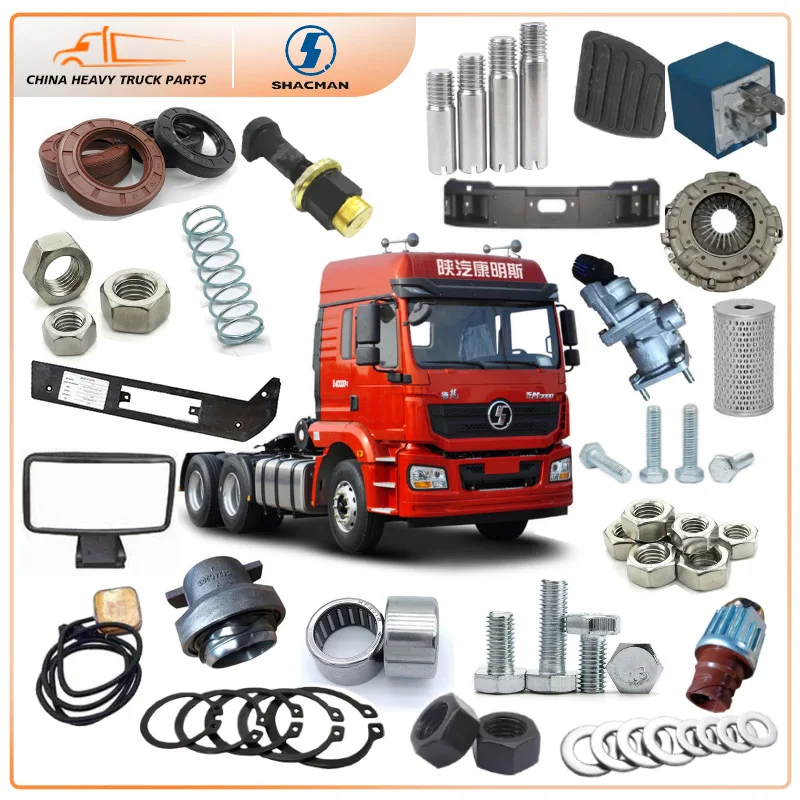 Source Shacman F2000/L3000/M3000/F3000/X3000 Truck Cab Spare Parts 