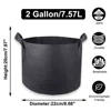 2 Gallon