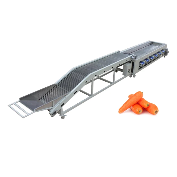Cucumber Carrot Sorting Machine Carrots Grading Machine