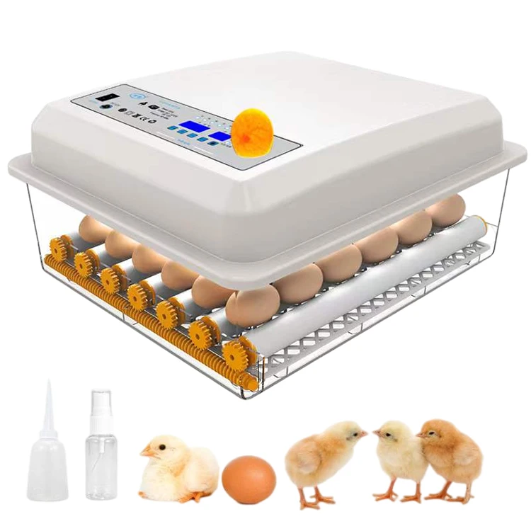 Incubateur Automatique Pour œufs 10-36 œufs - Retournement Auto, Contrôle Humidité/température, Mire Intégrée - 5