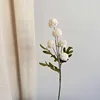 Bianco autunnale