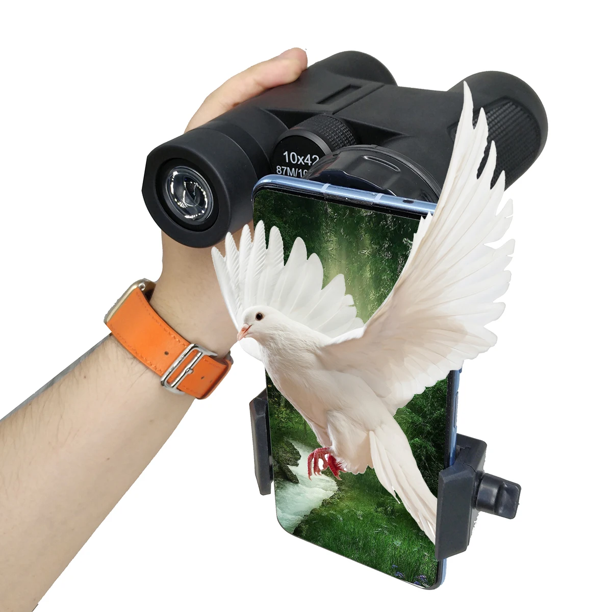 Bird Watching Best 8x42 Binoculars Under $300 Binoculars 8X42