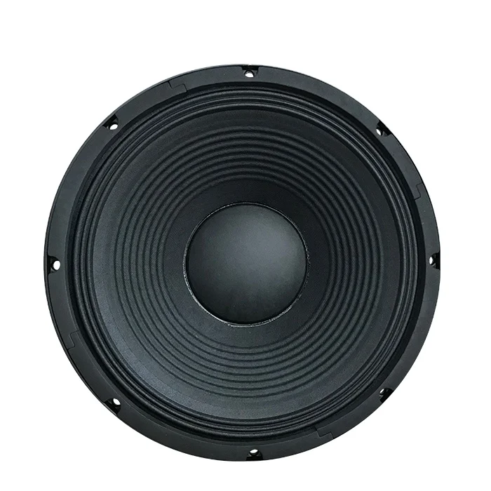 PA-1212 Professional 1000W 12