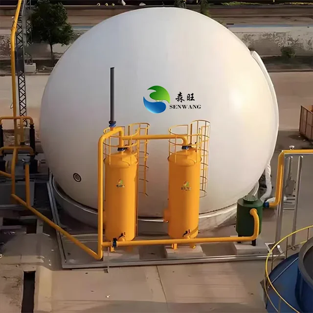 Automatic Bio Gas Power Plant Biogas Digester with Pressure Vessel Engine  PLC Pump for Livestock Farm Animal Manure Treatment