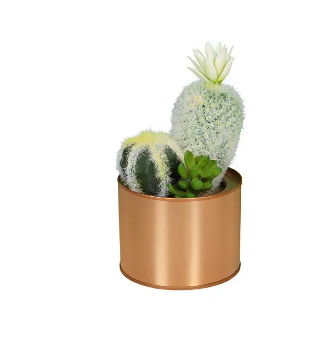 7 Inch Mini Assorted Artificial Cactus Plants With Flower For Home Office Decor Artificial Cactus Plants For Sale Decor Buy Christmas Cactus Plant Baby Cactus Plant Indoor Cactus Plants Lucky