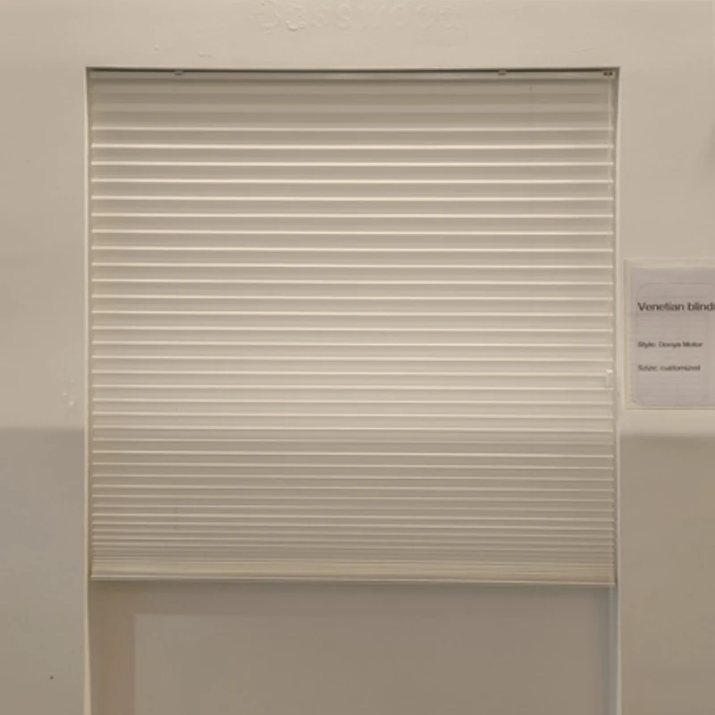 Practical Pleated Blinds for Four Seasons Cross Scene Shading Insulation Silent Adjustment Comfortable Companionship for Rope