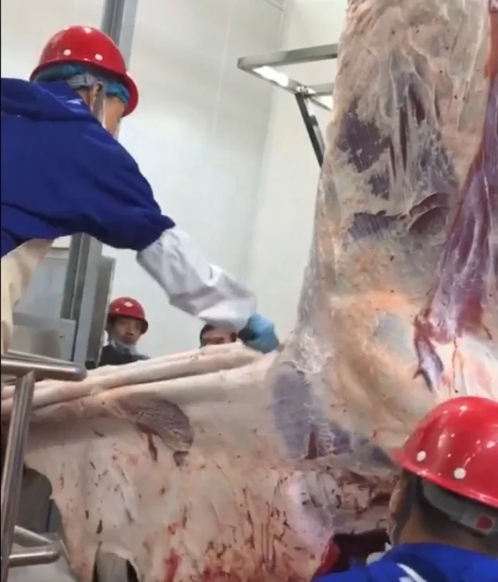 Professional Cow Slaughter Machine Skinning Machinery for Cattle Abattoir Plant Butcher Equipment for Cattle Slaughter Line
