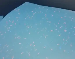Custom A4 Size Security Certificate Printing Paper with UV Invisible Fiber and Hologram Thread