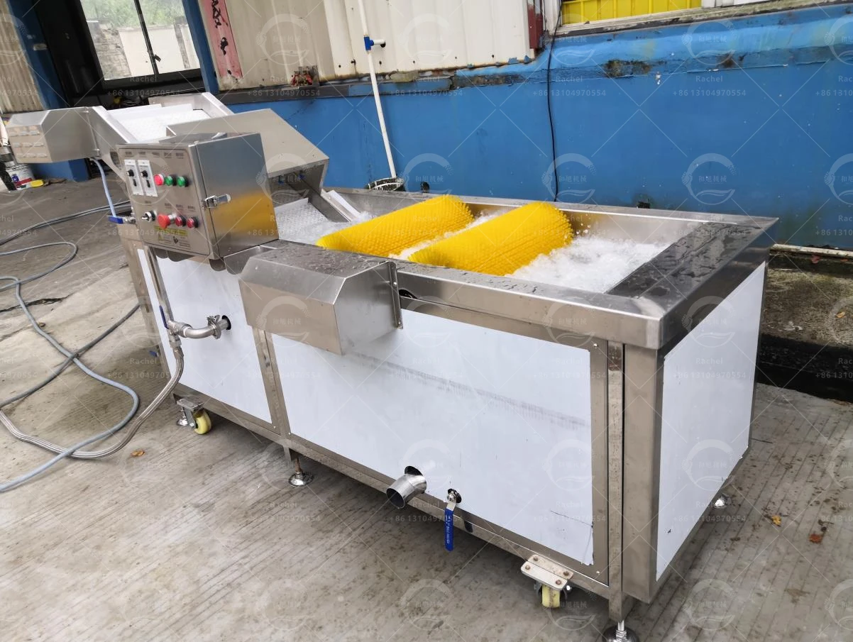 Professional Air Bubble Jute Leafy Cherry Tomato Washer Fruit And