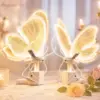 warm light