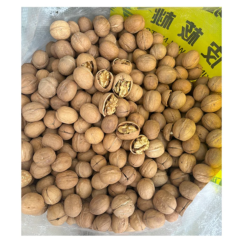 Shelled Walnuts Extra 5-7cm Light Kernels Premium Quality 20kg PP Bag Competitive Price Walnuts
