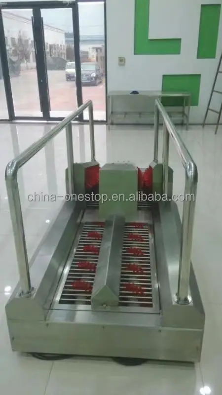 Integrated guided cleaning machine with access control unit for slaughterhouses and meat plants