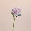 สีม่วง