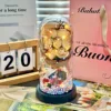 cappuccino + glass cover + gift bag + battery greeting card