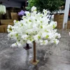 Bianco 5