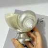 Coppa lumaca in argento a piede corto