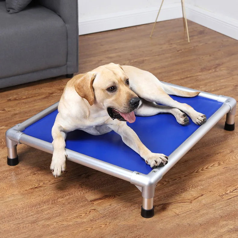 新品★ アーティストTRAMPOLINE トランポリン　Friendly dog アーティストTRAMPOLINE トランポリン Friendly dog This Big Dog Is A