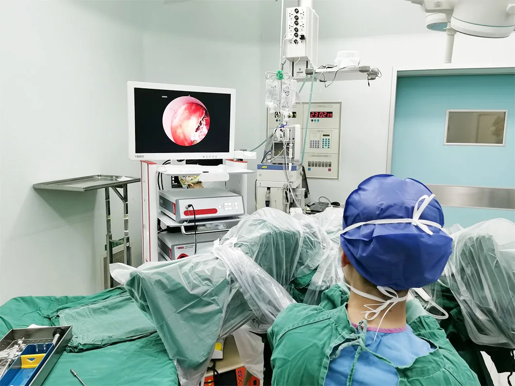 Endoscopy Equipment Gynecological Hysteroscopy Tower Complete Set supplier