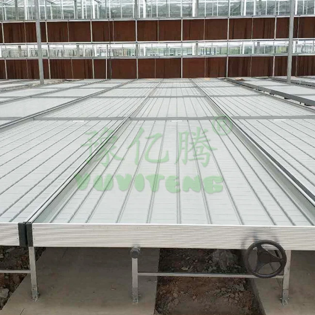 Hydroponic flood tables and trays ebb and flow rolling bench.jpg