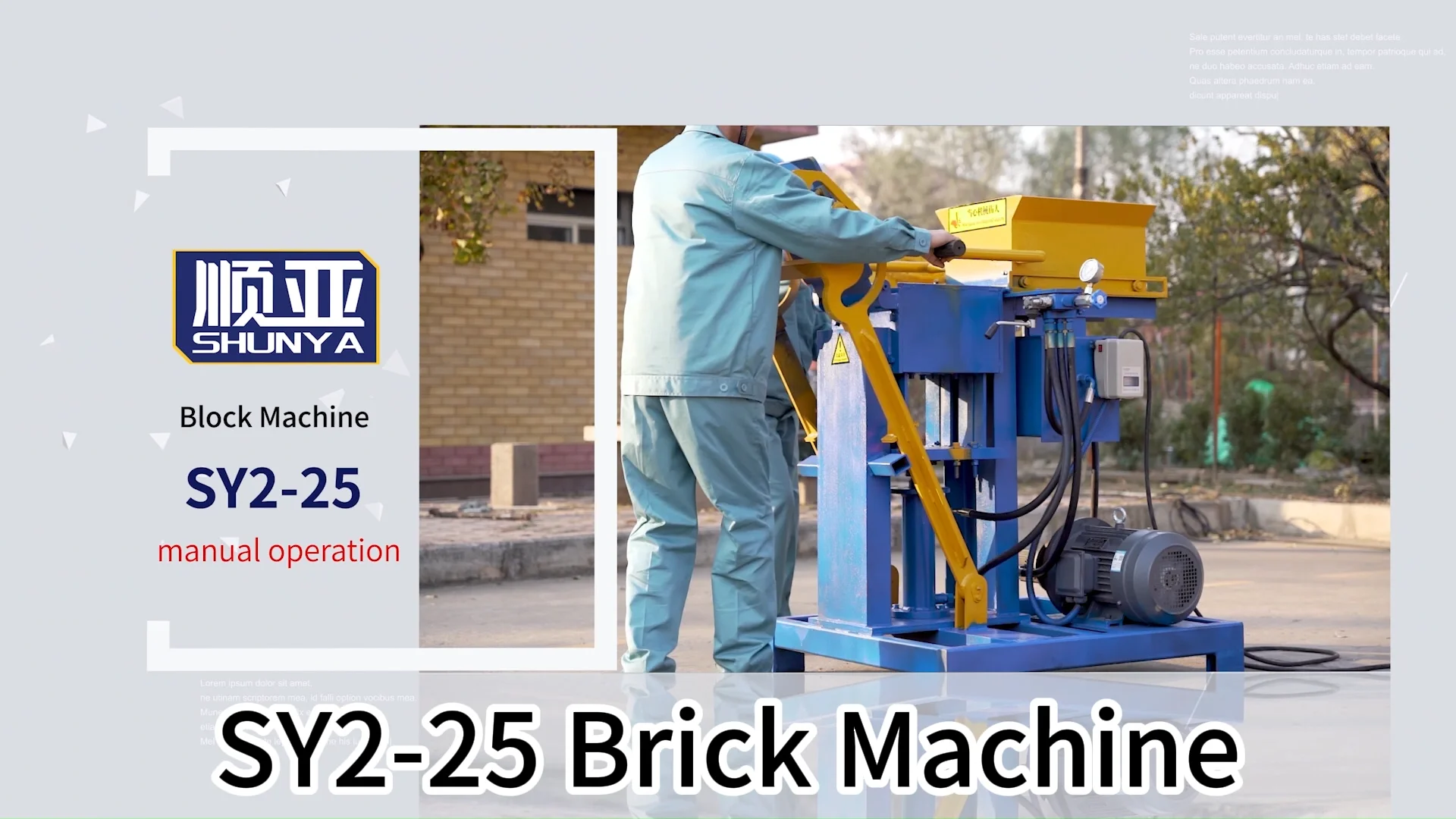 Hydraulic Cement Block Machine Sy2-25 Clay Concrete Cement Solid Block 