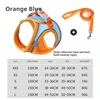 Orange blue